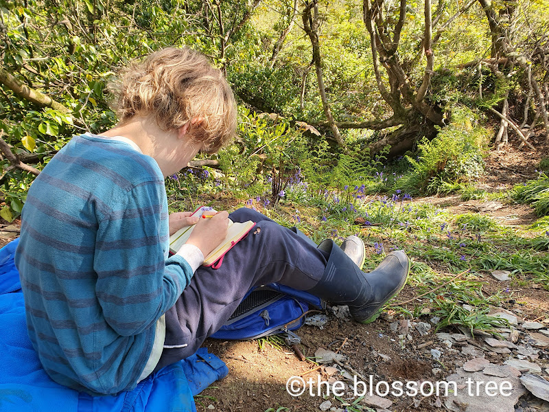 Child doing nature journalling outdoors in the woods